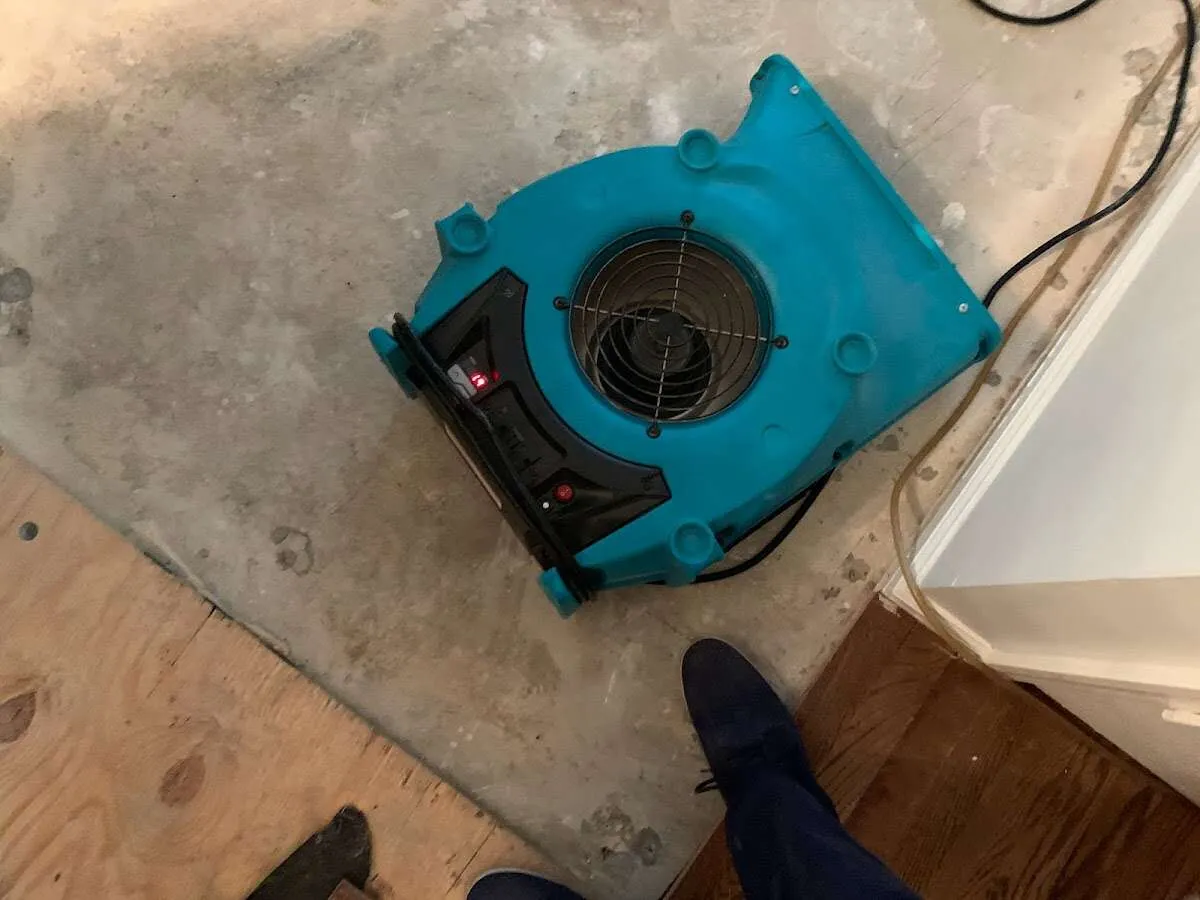 Air mover drying subfloor during Commercial Water Damage Restoration in Farmington Hills